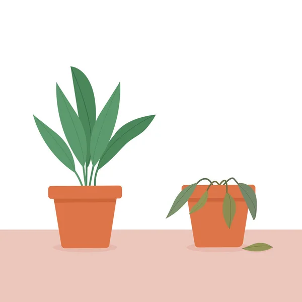 Une Plante Intérieur Pot Prise Charge Une Plante Intérieur Pot — Image vectorielle
