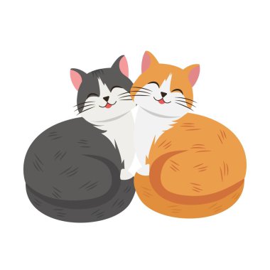 Beyaz arka planda izole bir çift aşık kedi.