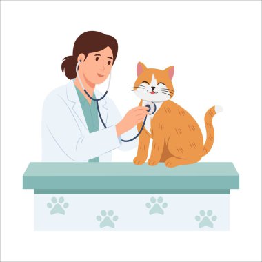 Veteriner kediyi muayene ediyor. Doktor steteskopla bir kedinin kalp atışlarını kontrol ediyor. Vektör illüstrasyonu