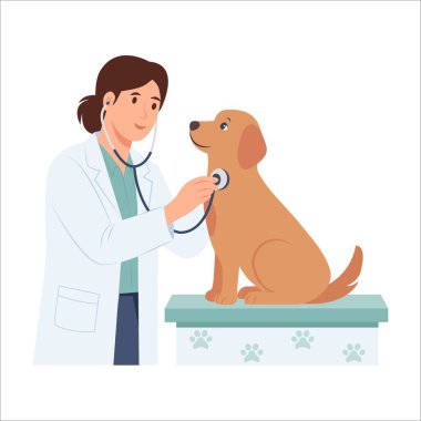 Veteriner köpeği hastanede muayene ediyor. Doktor steteskopla köpeğin kalp atışlarını kontrol ediyor. Vektör illüstrasyonu