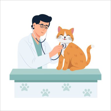 Veteriner kediyi muayene ediyor. Doktor steteskopla bir kedinin kalp atışlarını kontrol ediyor. Vektör illüstrasyonu
