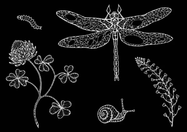 White isolated stylized monochrome graphic drawing of a dragonfly, blooming clover, snail, shepherd\'s purse, caterpillar on a black background