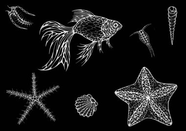 Siyah arka planda bir Japon yıldızı, denizyıldızı, deniz kabuğu ve planktonun stilize edilmiş tek renkli çizimi