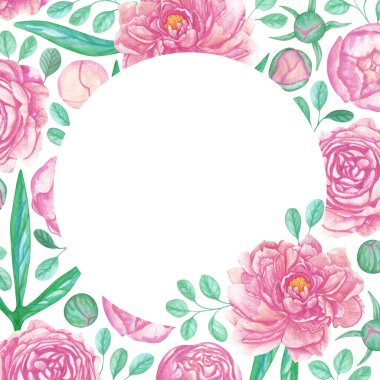 Beyaz arka planda çiçek açan pembe şakayıklar, şakayık tomurcukları, zümrüt şakayık ve okaliptüs yapraklarından oluşan izole bir çerçeve.