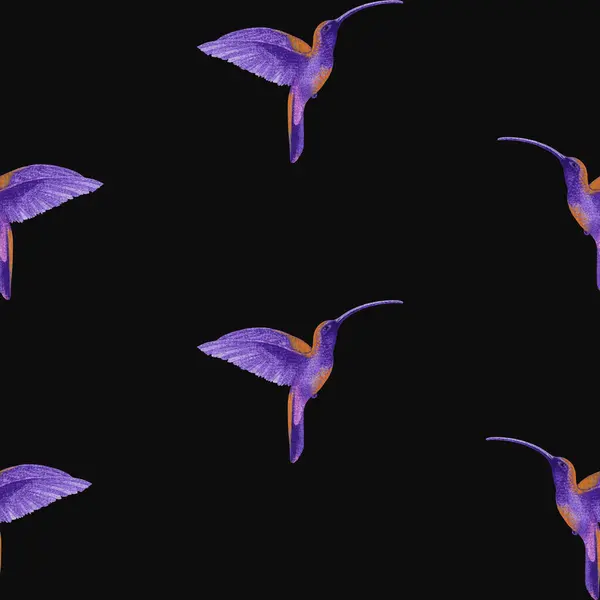 stock image Isolated seamless pattern composed of watercolor painted purple hummingbirds on a black background