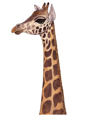 Tatlı gülümseyen bir zürafanın izole edilmiş suluboya portresi.)