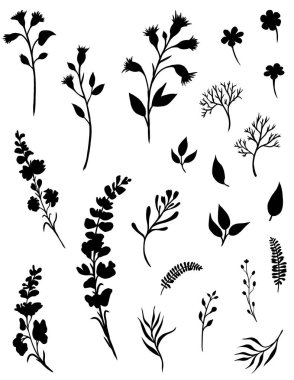 Beyaz arkaplanda yaban çiçeği siluetleri çizilmiş.