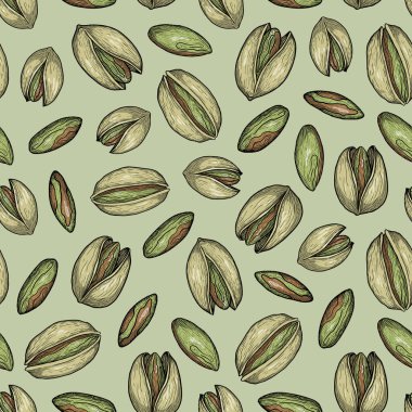 Renkli dikişsiz şam fıstığı deseni, yeşil arka planda el yapımı fındık, tekstil için klasik gıda tasarımı.