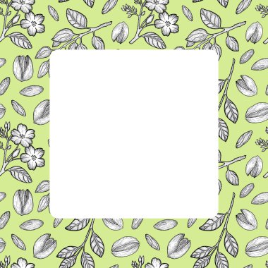Fıstıklı botanik çerçeve, açık yeşil arka planda el yapımı yaprak ve çiçekler