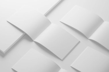 ABD Harf Manzarası Eyer Dikişi İkili Broşür Kataloğu Beyaz Boş 3B Tasarım Hazırlama Sunumu