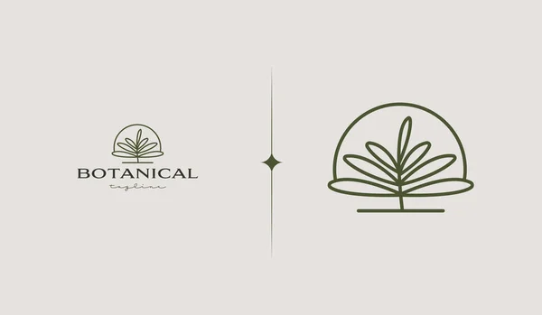 Шаблон Логотипа Ботанического Растения Универсальный Креативный Символ Премии Векторная Иллюстрация — стоковый вектор