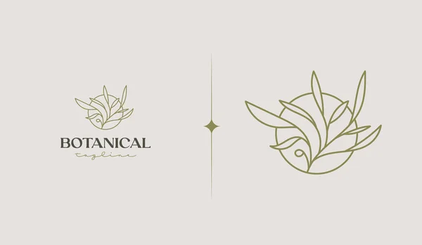 Шаблон Ботанічного Логотипу Рослин Універсальний Творчий Символ Премії Векторні Ілюстрації — стоковий вектор