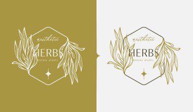 Abstract Plant Botanical Flower Line Art Line Drawing. Universal creative premium symbol. Vector illustration. Creative Minimal design template