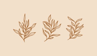 Logo için çiçek dalı ve minimalist çiçekler. El yapımı düğün otları, zarif yapraklar. Evrensel yaratıcı prim sembolü. Vektör simgesi logo şablonu. Vektör illüstrasyonu