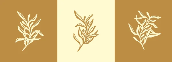 Kwiaciarnia Minimalistyczne Kwiaty Logo Ręcznie Narysowane Zioło Ślubne Eleganckie Liście — Wektor stockowy