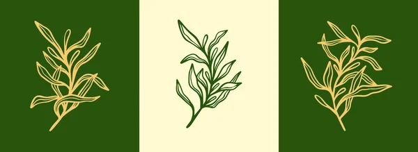 Kwiaciarnia Minimalistyczne Kwiaty Logo Ręcznie Narysowane Zioło Ślubne Eleganckie Liście — Wektor stockowy