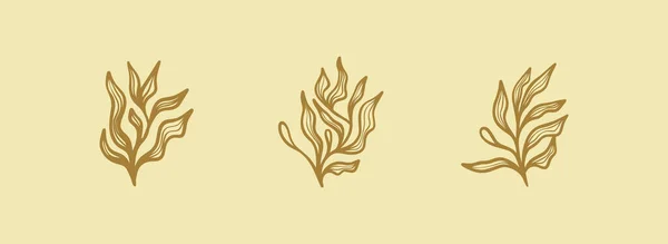 Branche Florale Fleurs Minimalistes Pour Logo Ligne Dessinée Main Herbe — Image vectorielle
