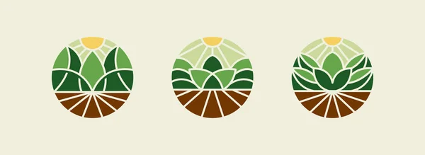 Agriculture Plant Logo Set Agriculture Farmhouse Logo Universal Creative Premium — Stock Vector