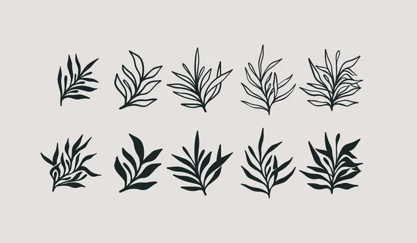 Цветочная Ветвь Минималистские Цветы Логотипа Ручная Линия Свадебная Трава Элегантные — стоковый вектор