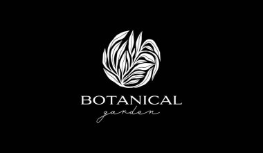 Botanik Bitkisi Yaprak Logo Şablonu. Evrensel yaratıcı prim sembolü. Vektör çizimi. Yaratıcı Minimal Tasarım Şablonu. Şirket İş Kimliği Sembolü