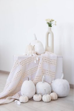 A collection of white pumpkins arranged on a knitted blanket, accompanied by a simple vase with flowers, in a chic and minimalist living space during autumn. clipart