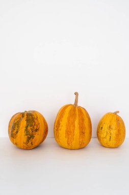 Cadılar Bayramı balkabaklarından oluşan neşeli bir üçlü, neşeli kutlamalar sırasında sonbaharın renkli ruhunu gözler önüne seriyor.