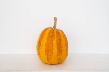 Güzel şekilli bir Cadılar Bayramı balkabağı ışıl ışıl parlıyor, sonbahar şenliklerinde oymaya ve şenlikli kutlamaya hazır.