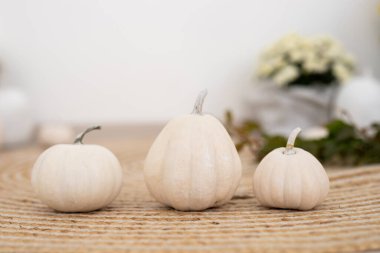 Büyüleyici beyaz balkabakları yumuşak dokunmuş bir hasırın üzerinde ustalıkla dizilmiş, sonbahar dekorasyonu ve Cadılar Bayramı kutlamaları için mükemmel.