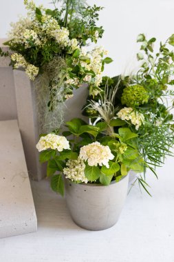 Beyaz ortancalar ve kır çiçeklerinin minimalist bitkilerle serin bir zemin üzerinde zarif bir düzenleme.