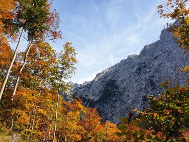 Kamnik-Savinja Alpleri 'nin kayaları - Slovenya' nın sonbaharında dağlar 