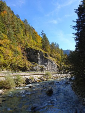 Slovenya 'nın sonbaharında Luce ile Solcava arasındaki Savinja nehri 