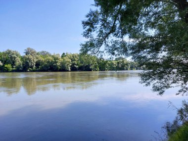 river Drava - green nature at Virovitica-Podravina county of Croatia