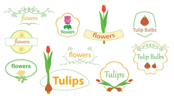 Banderas Florales Vectoriales Elementos Decorativos Diseño Con Flores — Vector de stock