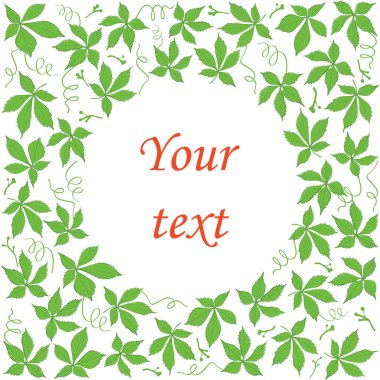 Partenosissus yapraklı dekoratif vektör arkaplanı - merkez çerçevenin etrafında yeşil sarmaşık
