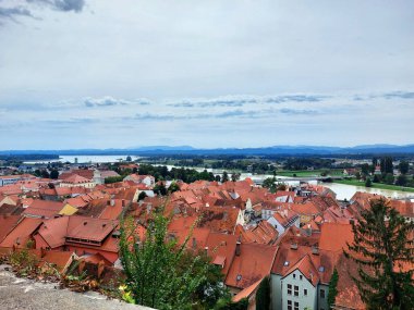 Drava Nehri 'nin panoramik manzarası ve Ptuj' un eski merkezi - Slovenya