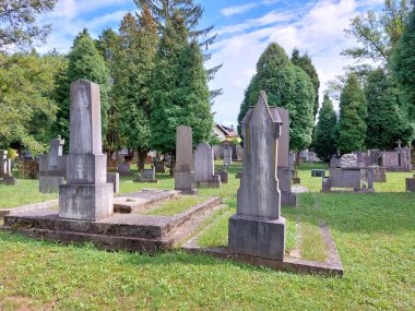 Ptuj 'daki eski Katolik mezarlığı. Gri mezar taşları ve yeşil ağaçlar. Slovenya
