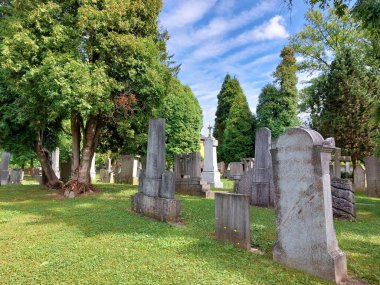 Ptuj 'daki Katolik mezarlığı. Eski mezar taşları ve yeşil ağaçlar. Slovenya