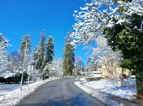 street in city Maribor. Winter season. Snow in Slovenia