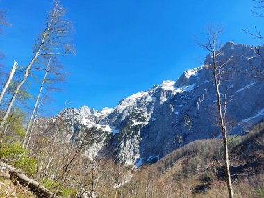 Logar valley. Snow on Kamnik Alps. Blue sky. Slovenia clipart