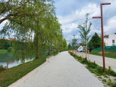 Maribor 'da Drava yakınlarında yeşil ağaçlar ve kaldırım. Toprak seti. Avrupa. Yaz
