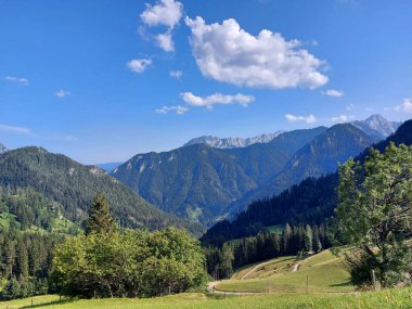 Kamnik-Savinja Alplerinin yeşil dağları. Slovenya doğası mavi gökyüzü altında.