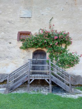 wooden door of castle Hochosterwitz. Rose bush. Austria. Carinthia. Europe clipart