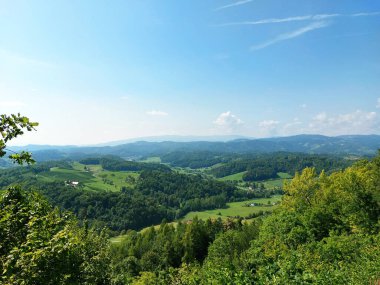 Slovenya 'nın mavi gökyüzü altındaki manzarası. Yeşil tepeler ve tarlalar
