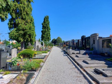 Mezar taşları ve Maribor 'daki mezarlıkta bir geçit.. 