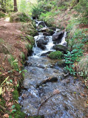 Nehir akıyor. Pohorje dağı. Slovenya. Avrupa