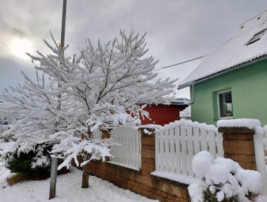 Ağaçta, evde ve çayırda yumuşak beyaz kar var. Slovenya. Avrupa. Kış