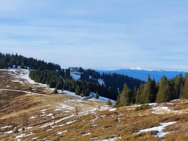 Slovenya. Kış manzarası. Ribniska koca. Pohorje 'yi beyaz dağlara doğru görüntüle 