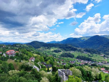 Celje Kalesi yakınlarında bir mahalle. Yeşil kovan. Slovenya