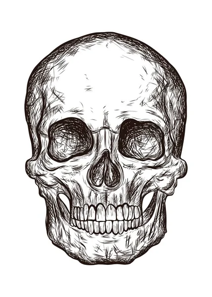 頭蓋骨の男のスケッチスタイルのグラフィック 白い背景に隔離されたベクトルイラスト デザイン ステッカー ポスター ハロウィン ゴシック デザインのための印刷 デジタルアート — ストックベクタ