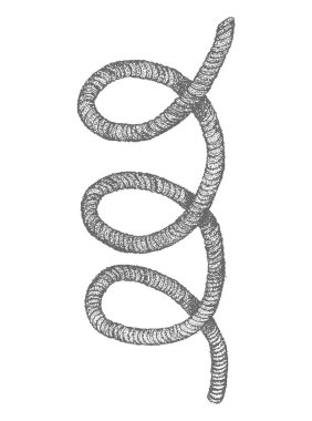 İp, kablo, iplik, naylon, nokta çalışması tarzı çizim, siyah beyaz vektör çizimi izole edilmiş, dövme etiketi, parmak izi